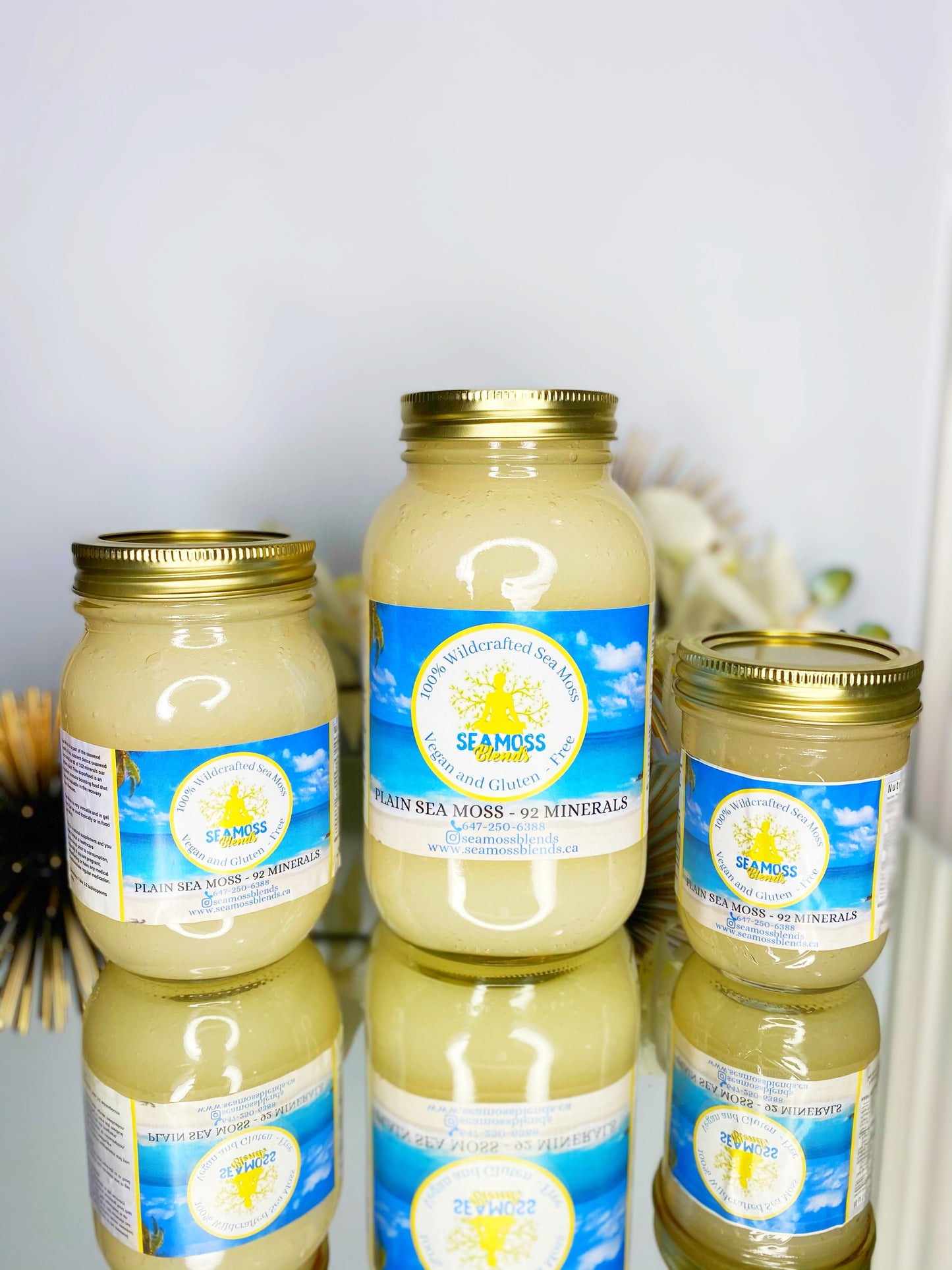 Sea Moss Gel